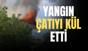 Yangın çatıyı kül etti