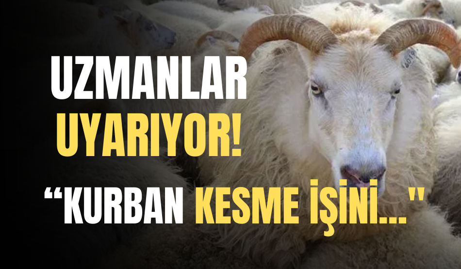 Uzmanlar uyarıyor: “Kurban kesme işini…”