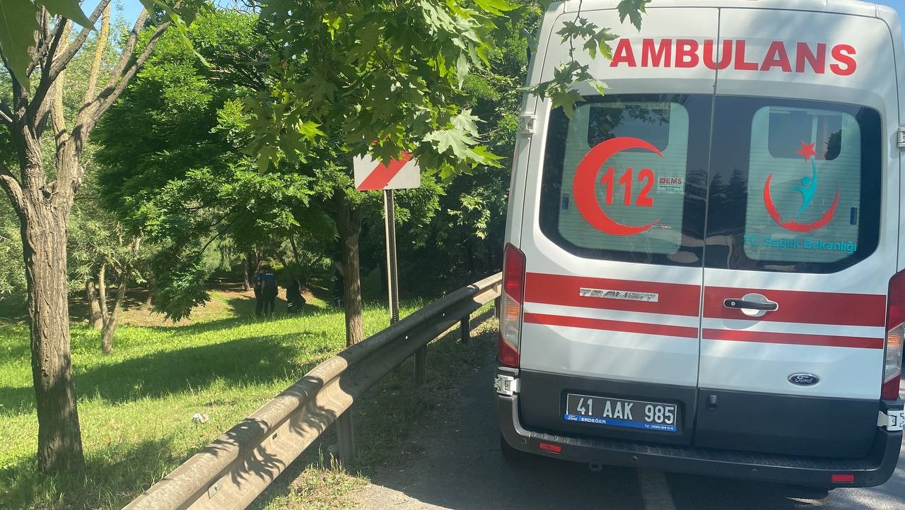 Çayırova'da ağaçta asılı halde bulundu Çayırova'da ağaçta asılı halde bulundu