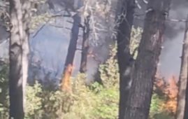 Sultangazi’de bulunan kent ormanında yangın
