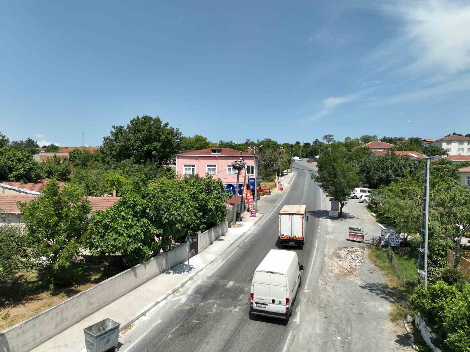 Leylekler İstanbul’da insanlarla iç içe yaşıyor