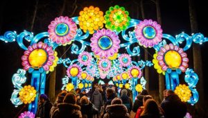 Ormanda Işık Festivali, Temmuz boyunca Turkcell Platinium Park’ta