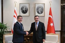 Cumhurbaşkanı Yardımcısı Yılmaz, KKTC Başbakanı Üstel ile görüştü