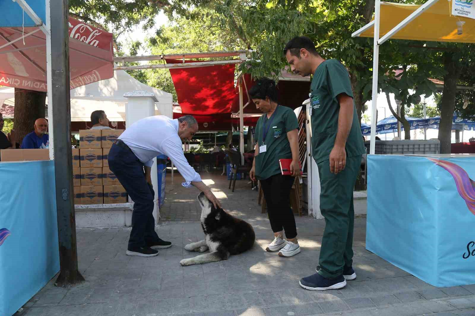 Büyükçekmece’de sokak hayvanlarının sağlık taraması gerçekleşti