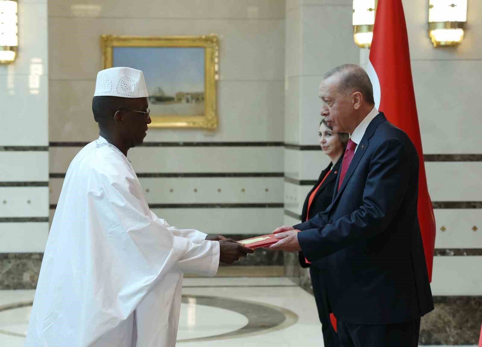 Gine Büyükelçisi Cumhurbaşkanı Erdoğan’a güven mektubu sundu