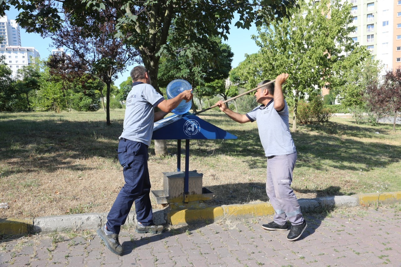 Küçükçekmece’de sokak hayvanları bunaltıcı sıcaklarda da yalnız bırakılmadı