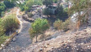 Sultangazi’de ağaçlık alanda yangın çıktı, 3 ev tahliye edildi