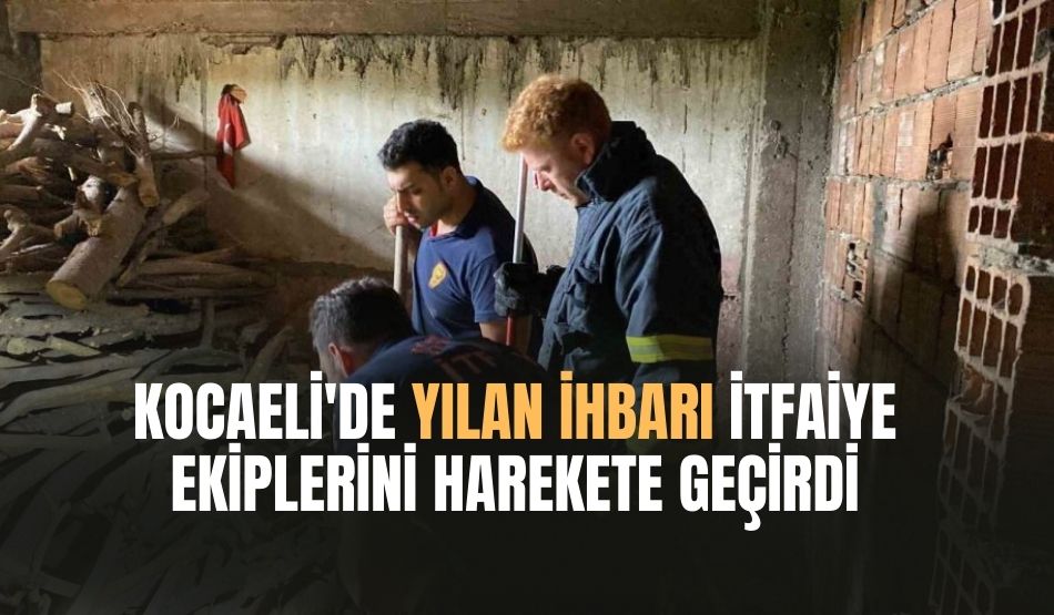 Kocaeli’de yılan ihbarı itfaiye ekiplerini harekete geçirdi