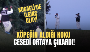 Kocaeli’de köpeğin aldığı koku, cesedi ortaya çıkardı!