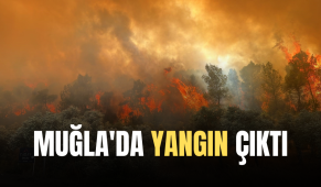 Muğla’da yangın çıktı!