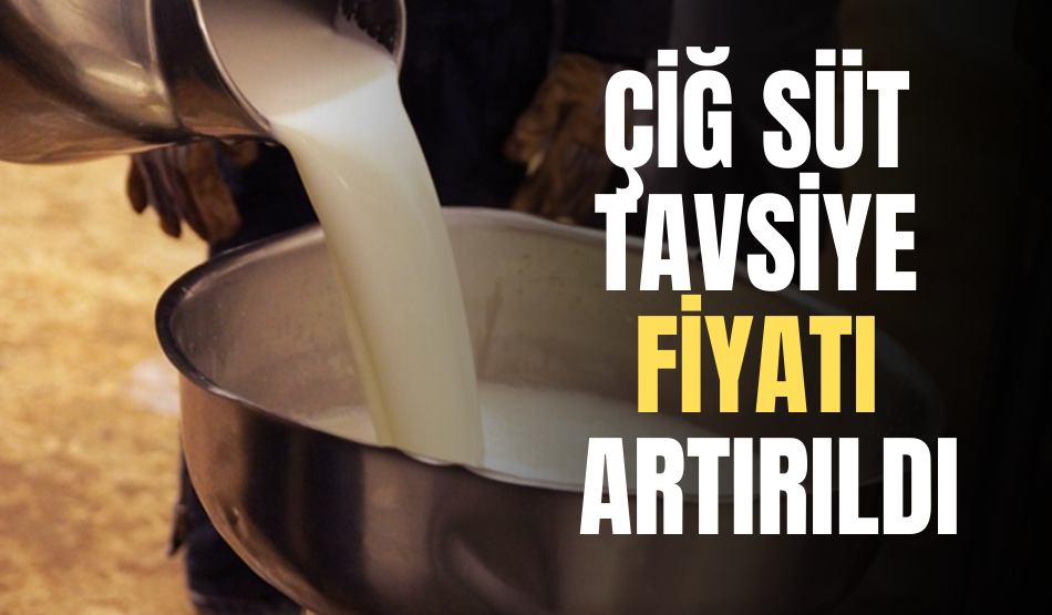 Çiğ sür tavsiye fiyatı arttırıldı