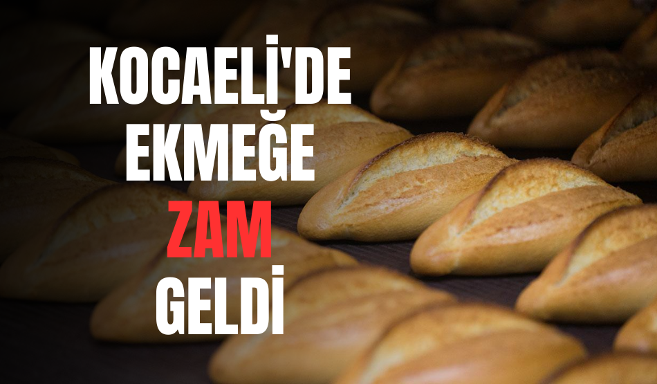 Son dakika…Kocaeli’de ekmeğe zam geldi!