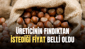 Fındıkta fiyat belli oluyor! Üretici 100 istedi, fındık ne kadar oldu?