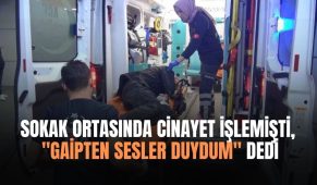 Sokak ortasında cinayet işlemişti, “Gaipten sesler duydum” dedi