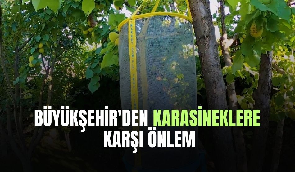 Büyükşehir’den karasineklere karşı önlem