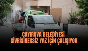 Çayırova Belediyesi sivrisineksiz yaz için çalışıyor