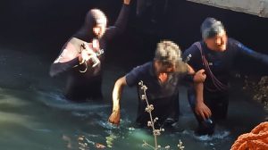Veliefendi Hipodromu’nda 6 aracın yanmasına ilişkin gözaltına alınan şüpheli adliyeye sevk edildi