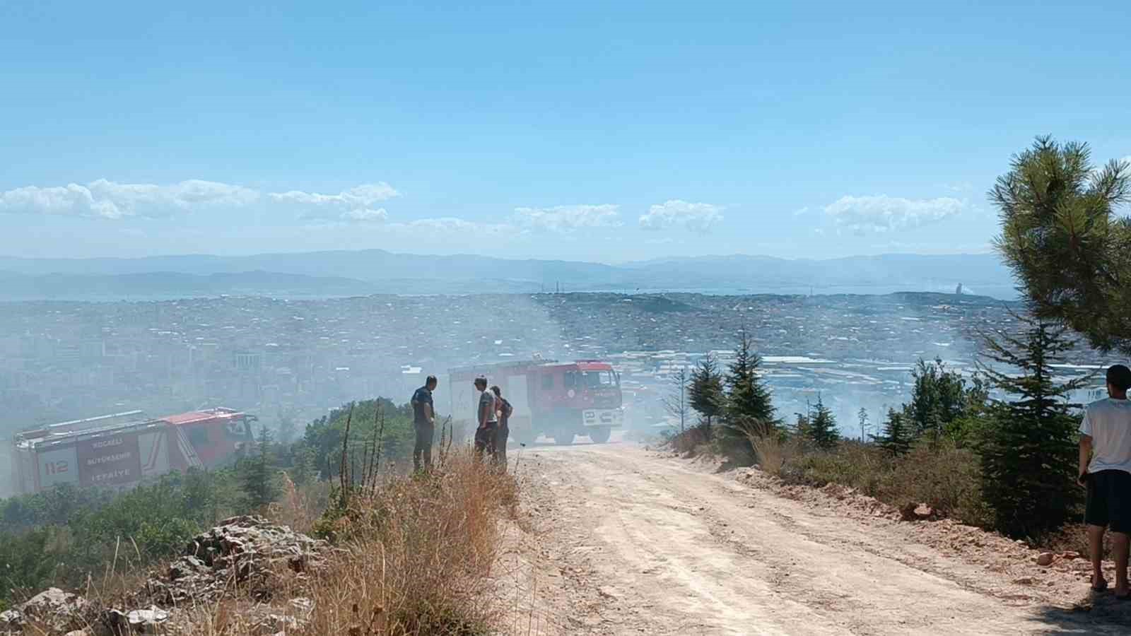 Kocaeli’de ağaçlık alanda çıkan yangında kundaklama iddiası