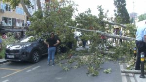 Kartal’da ağaç devrildi, aracın camı patladı