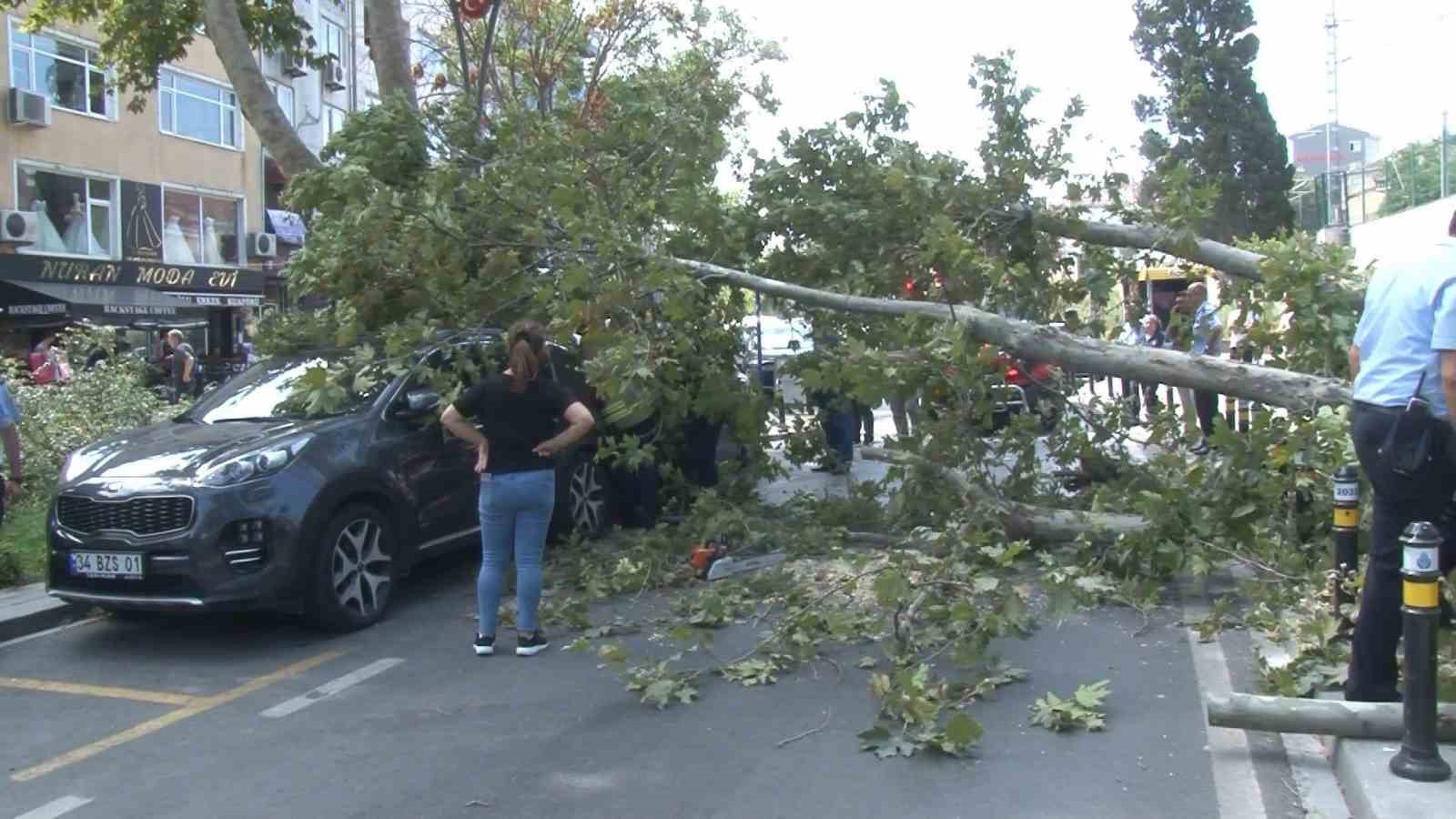 Kartal’da ağaç devrildi, aracın camı patladı