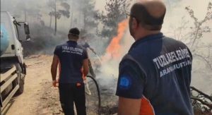 Tuzla Belediyesi, Çanakkale’deki orman yangını için seferber oldu