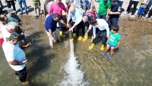 Sapanca Gölü’ne 100 bin balık salındı