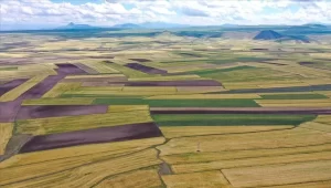 Kocaeli Kandıra’da 1757 m² arsa mahkemeden satılıktır