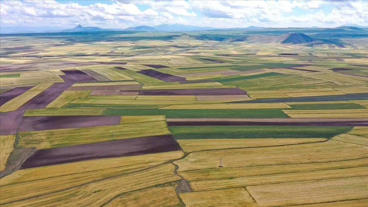 Kocaeli Kandıra’da 1757 m² arsa mahkemeden satılıktır