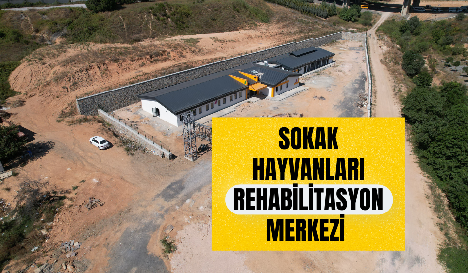 Çayırova Belediyesi  sokaktaki canları unutmuyor