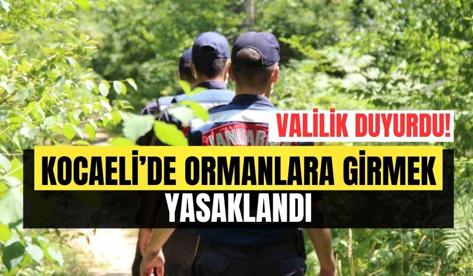 Valilik duyurdu! Kocaeli’de ormanlara girmek yasaklandı