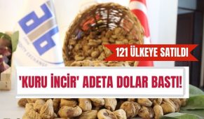 Kuru incir adeta dolar bastı! 121 ülkeye satıldı