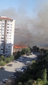 Tuzla’da orman yangını