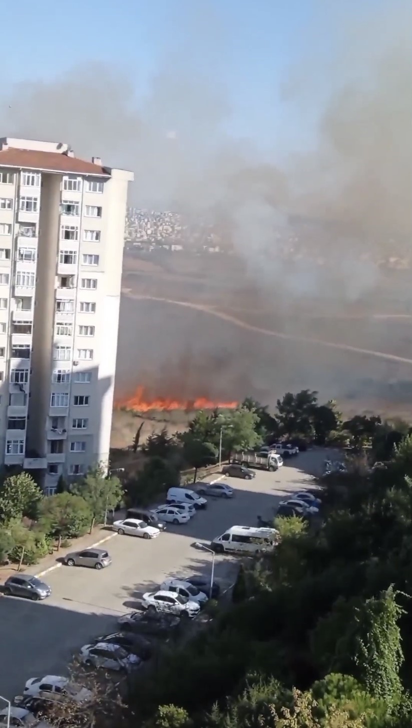 Tuzla’da orman yangını