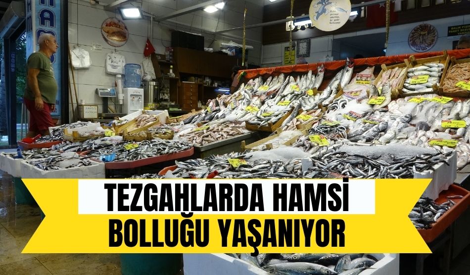 Tezgahlarda hamsi bolluğu yaşanıyor