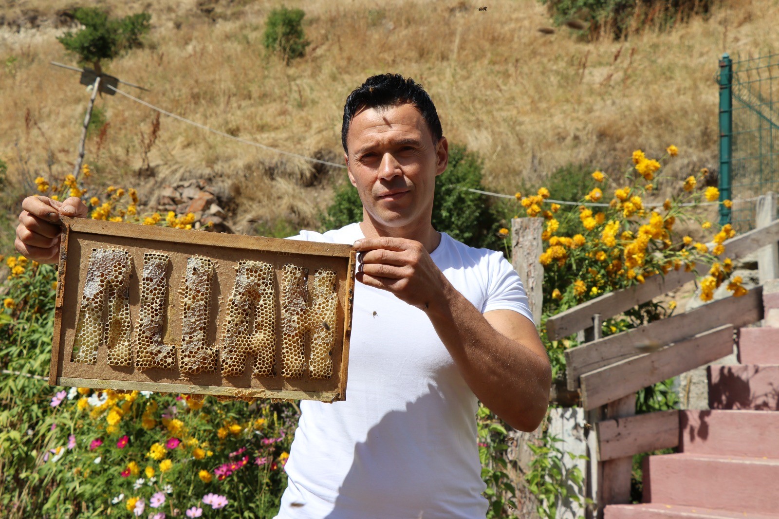 İlginç olay! Arılara yazmayı öğretti