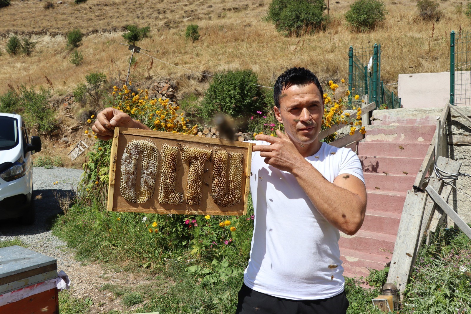 İlginç olay! Arılara yazmayı öğretti