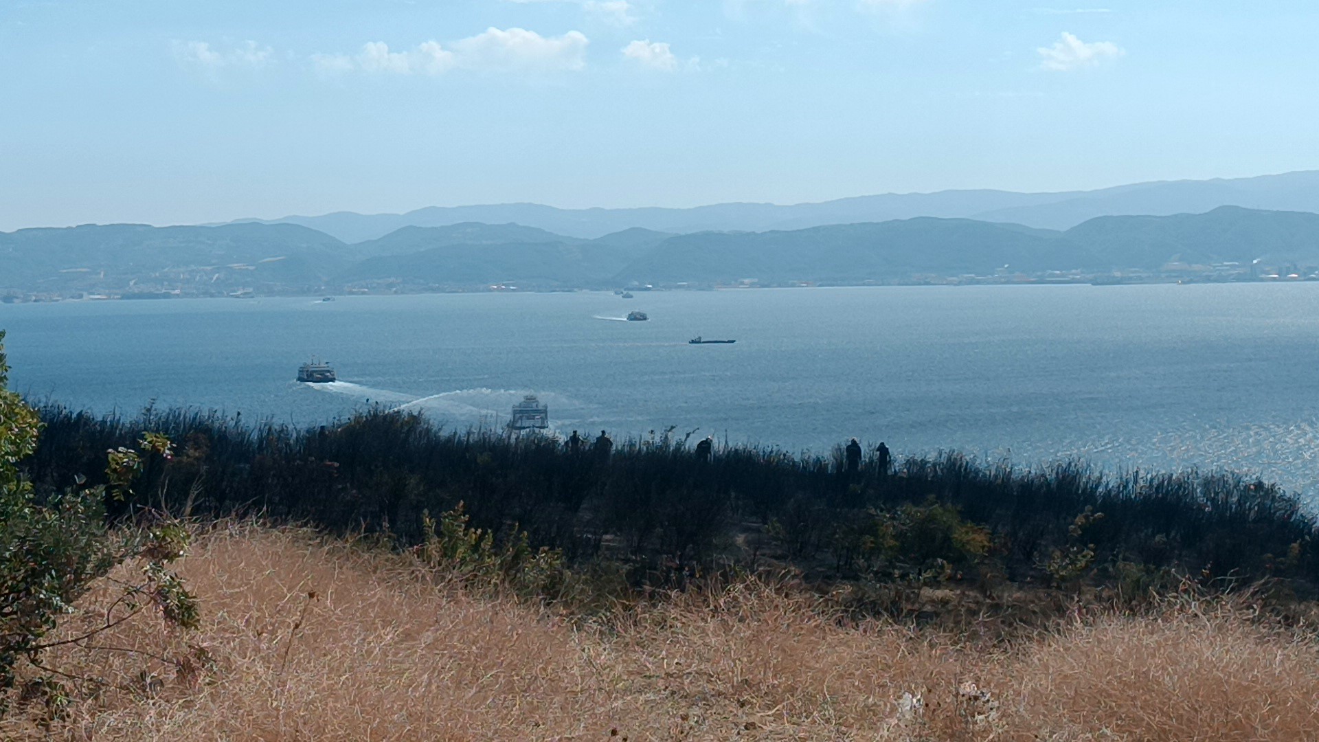 Gebze'de çıkan orman yangını söndürüldü!
