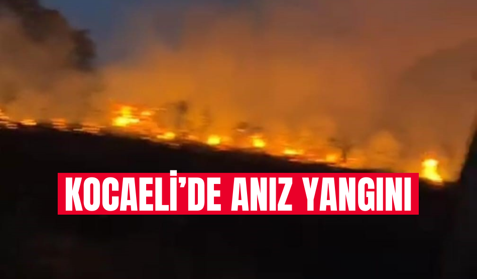 Kocaeli’de anız yangını