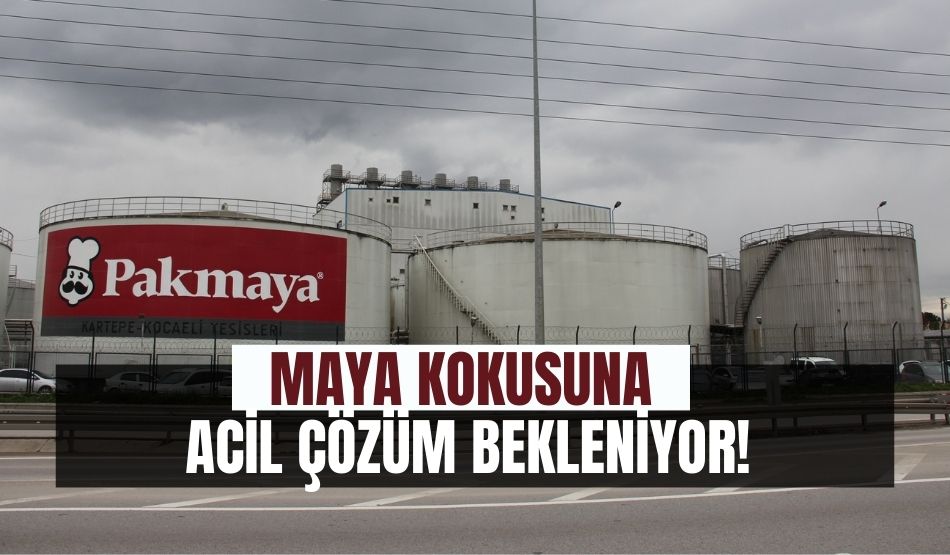 Maya kokusuna acil çözüm bekleniyor!
