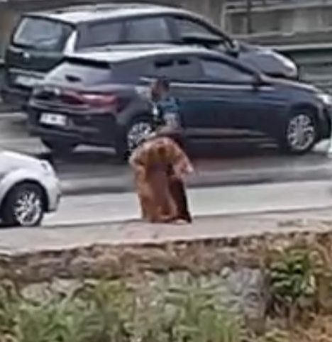 Tartıştığı kadını kemerle darp etti... O anlar kamerada! Tartıştığı kadını kemerle darp etti... O anlar kamerada!