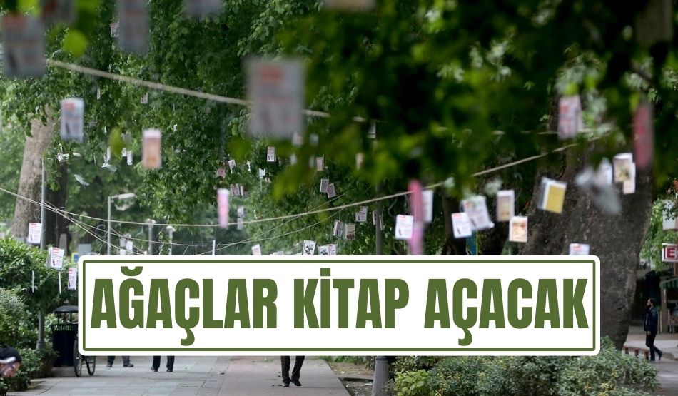 Ağaçlar kitap açacak