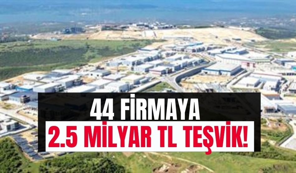44 firmaya 2.5 milyar TL teşvik!