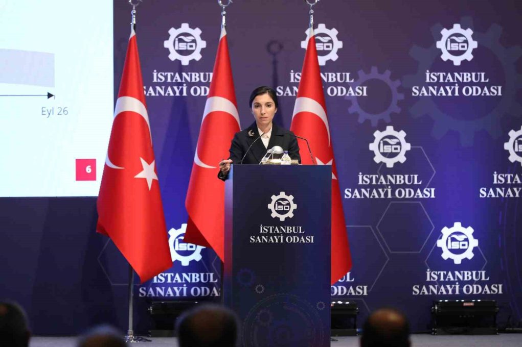 TCMB Başkanı Hafize Gaye Erkan: “Türk Lirasına geçiş başlamıştır”