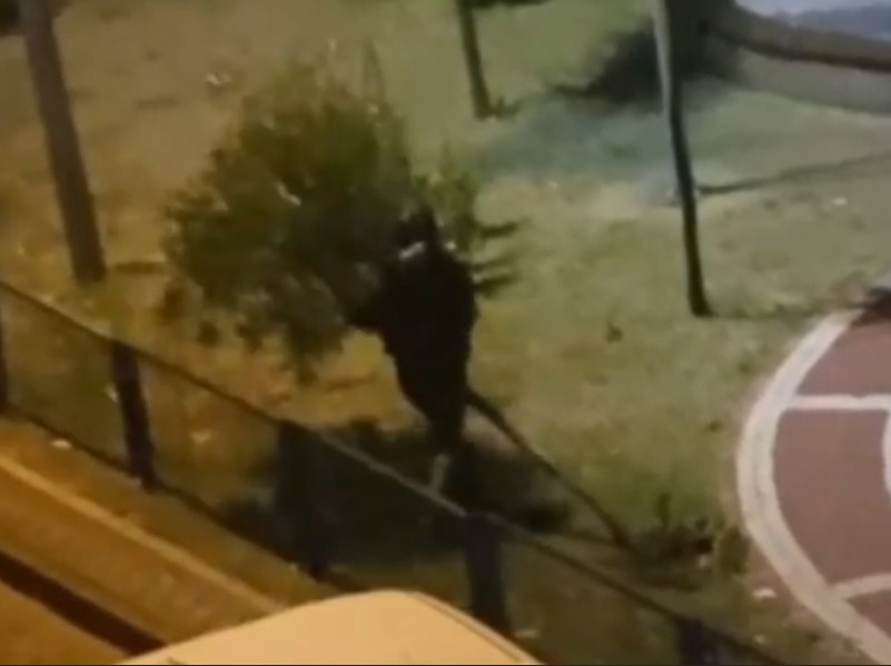 Sultangazi’de bir kişi parktaki ağacı yerinden söktü