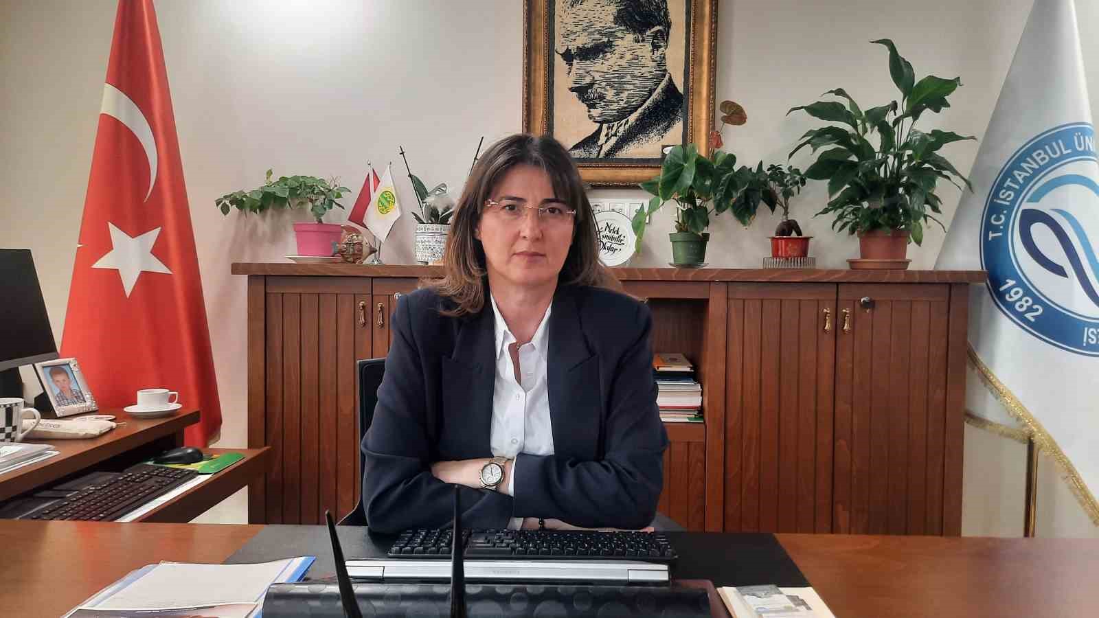 Kirlilik yüzünden Haliç’te denizanası istilası
