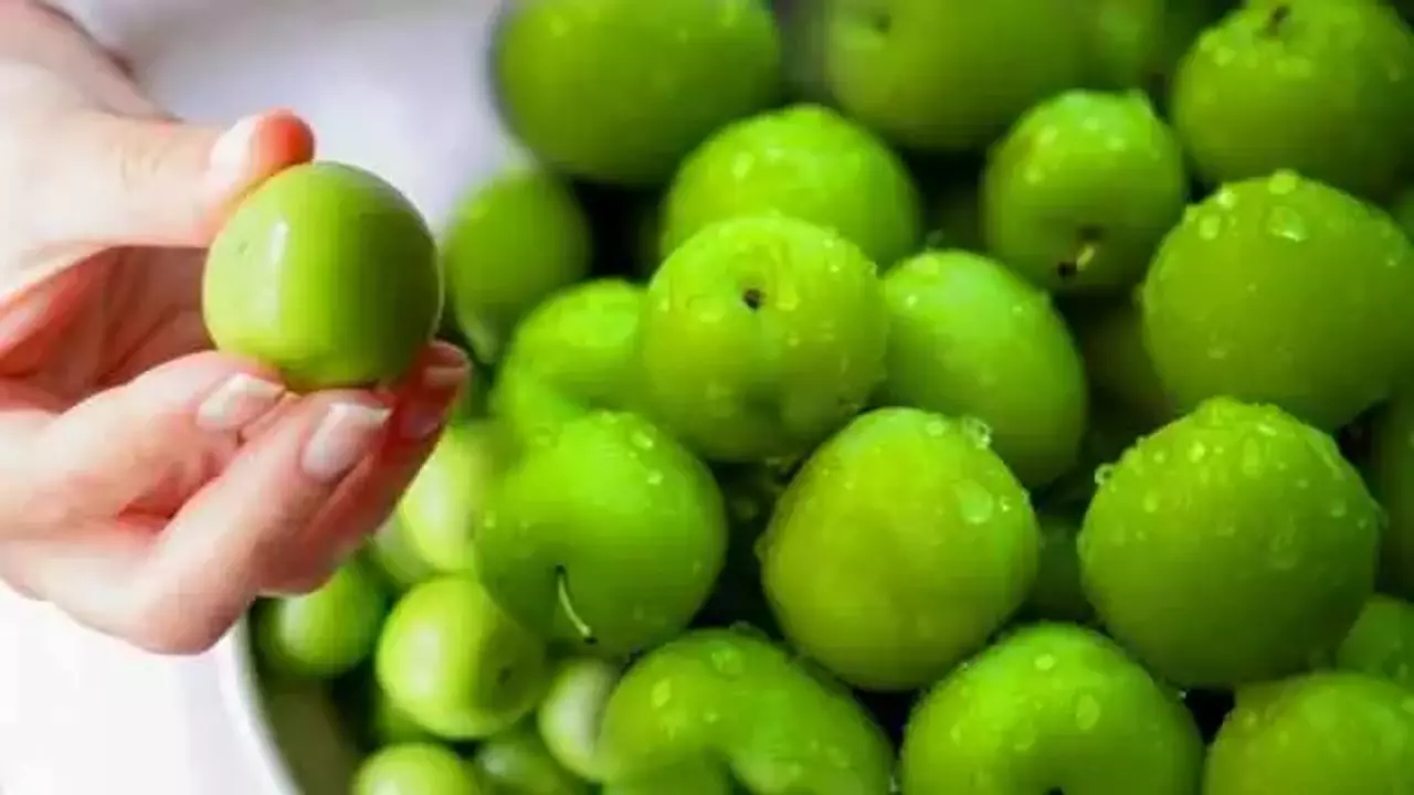 Yaz Meyvelerinin Fiyatları Altınla Yarışıyor