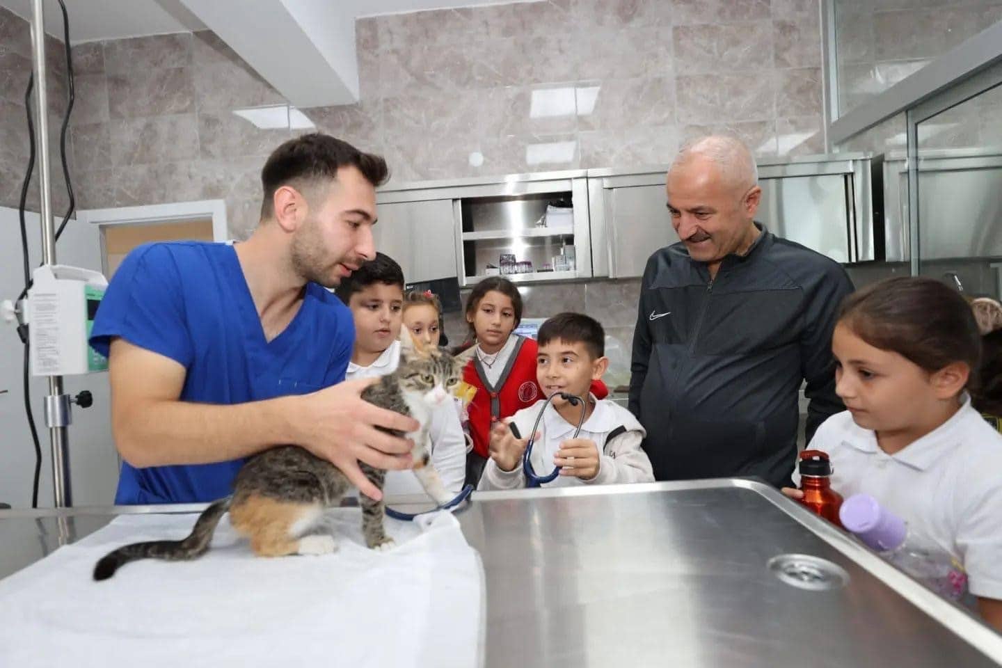 Gebze’de 10 bin 939 yaralı ve hasta hayvanın tedavisi yapıldı