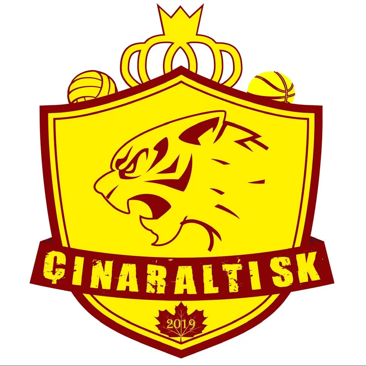 Darıca Çınaraltı evinde mağlup! Darıca Çınaraltı evinde mağlup!