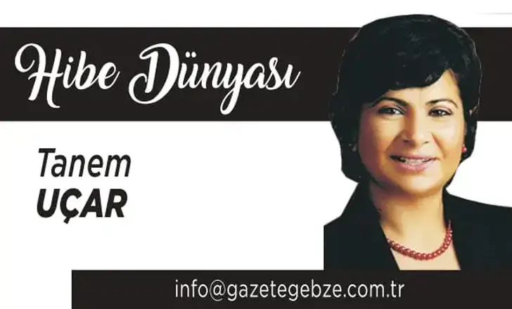 2569-TÜBİTAK – Romanya Araştırma, İnovasyon ve Dijitalleşme Bakanlığı (MCID) ile İkili İş Birliği Programı