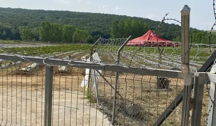 Çilek Köyü Hasat Etkinliği Ertelendi: Hırsızlık Şoku!